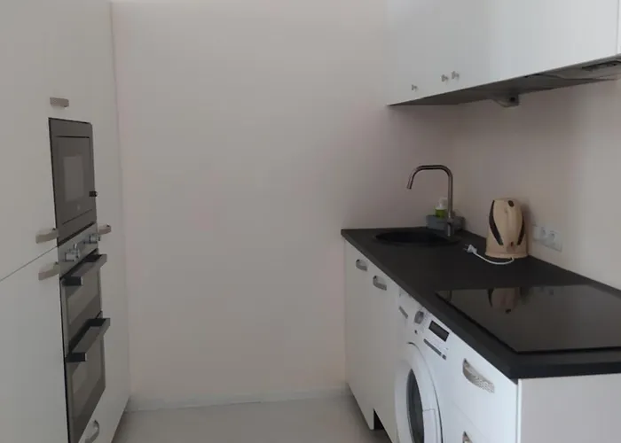 Apartment Julia Lacplesa Riga